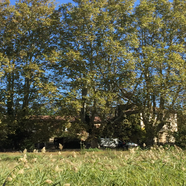 Offres de vente Mas Saumane-de-Vaucluse 84800
