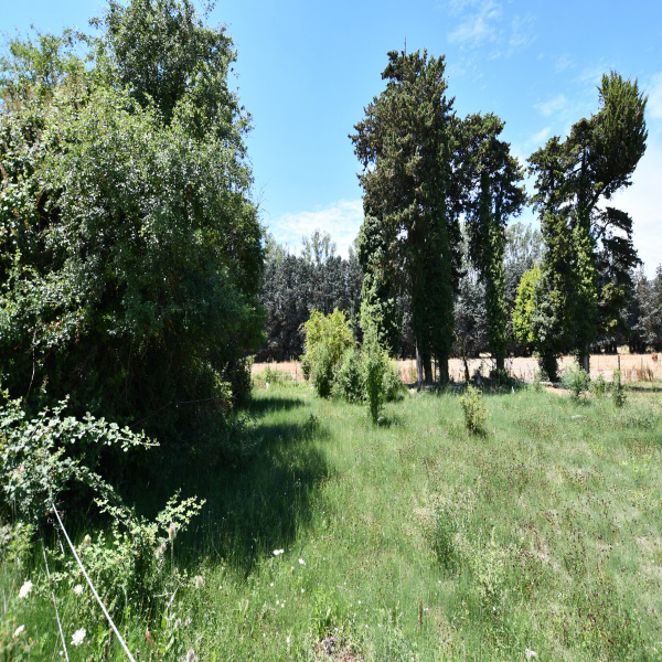 Offres de vente Mas Saumane-de-Vaucluse 84800