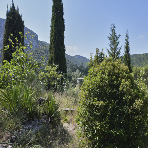 Offres de vente Maison Fontaine-de-Vaucluse 84800